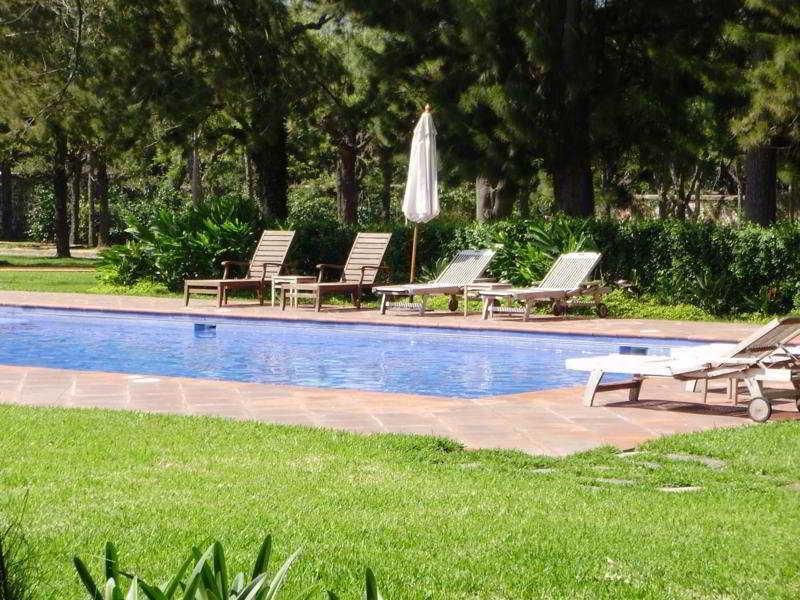 Filadelfia Coffee Resort & Tour Jocotenango Exterior foto